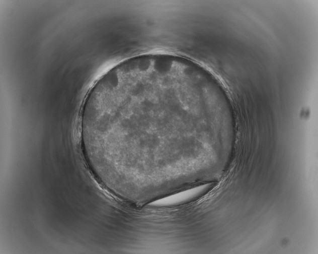 X0000097891367200804111007