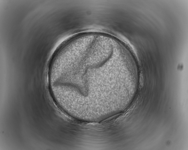 X0000097891368200804111007