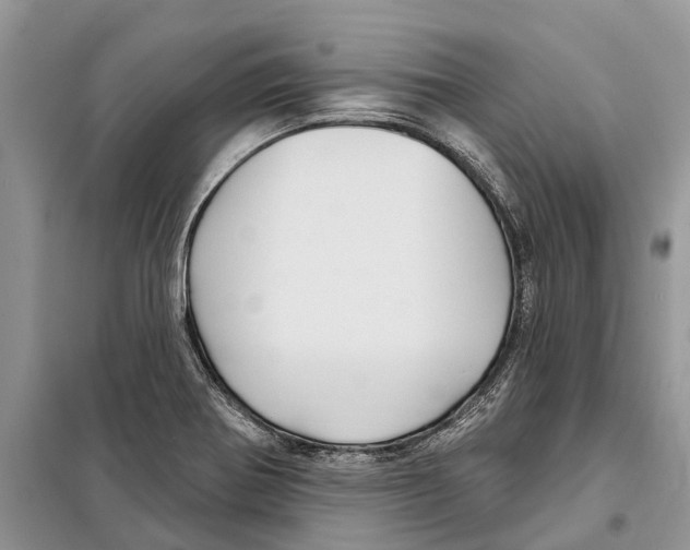 X0000097891370200804111006