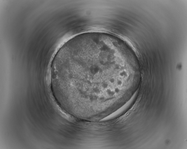 X0000097891371200804111006