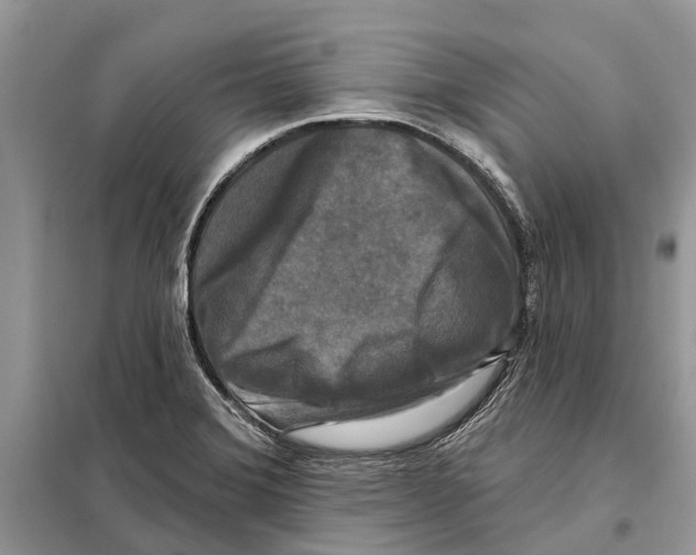 X0000097891372200804111006