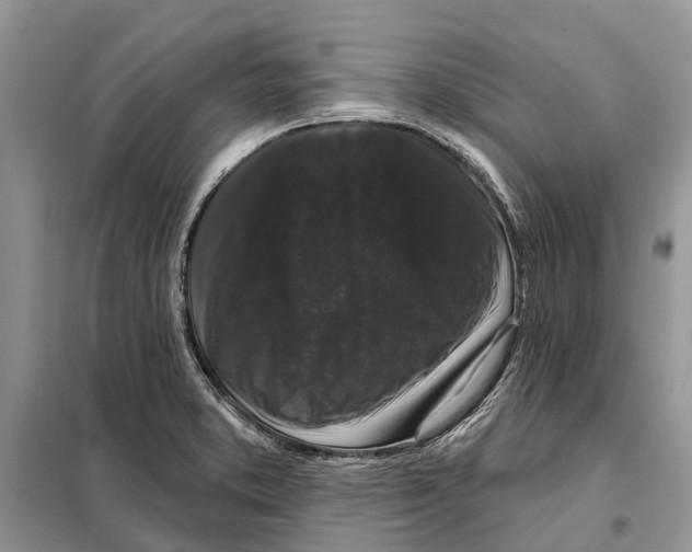 X0000097891373200804111006