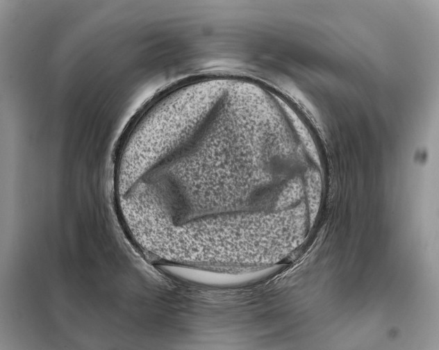 X0000097891376200804111006