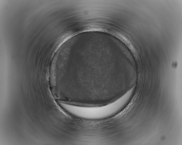 X0000097891377200804111006