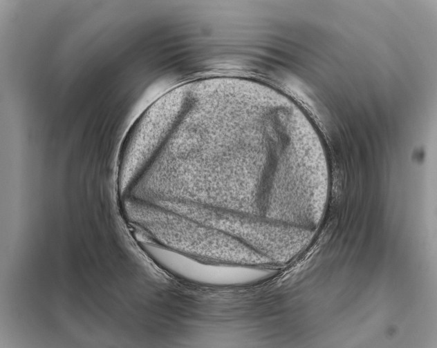 X0000097891378200804111006