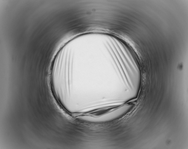 X0000097891379200804111006