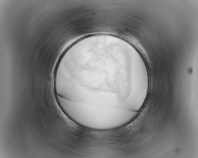 X0000097891380200804111006