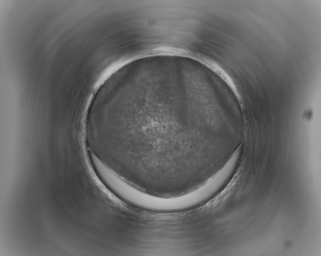 X0000097891381200804111006