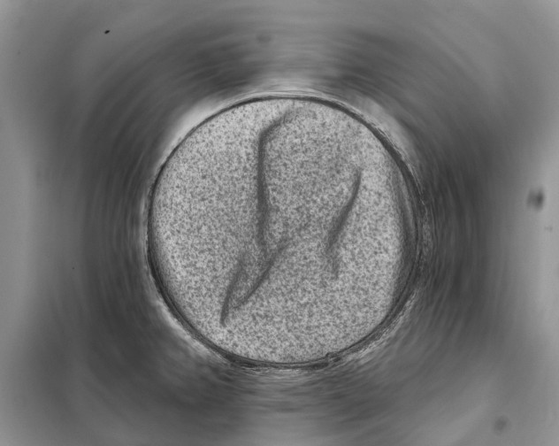 X0000097891382200804111006