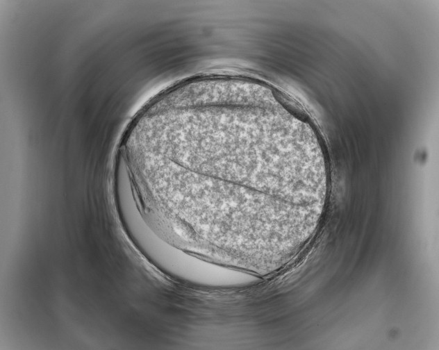 X0000097891384200804111006