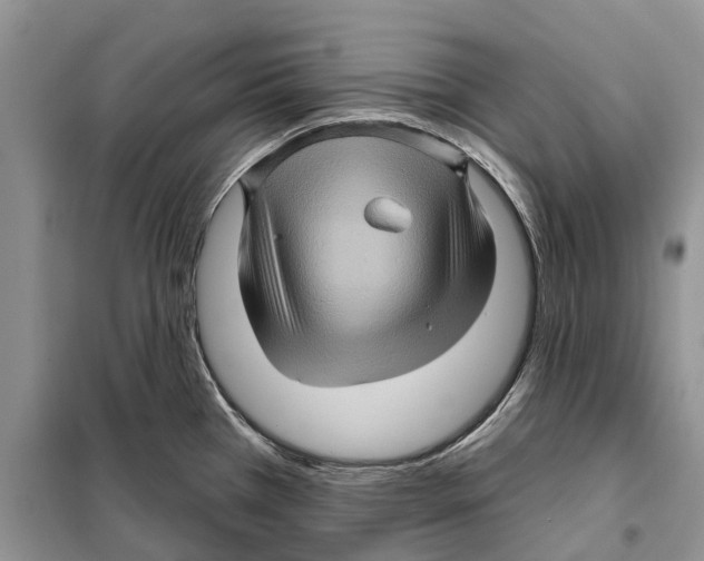 X0000097891385200804111006