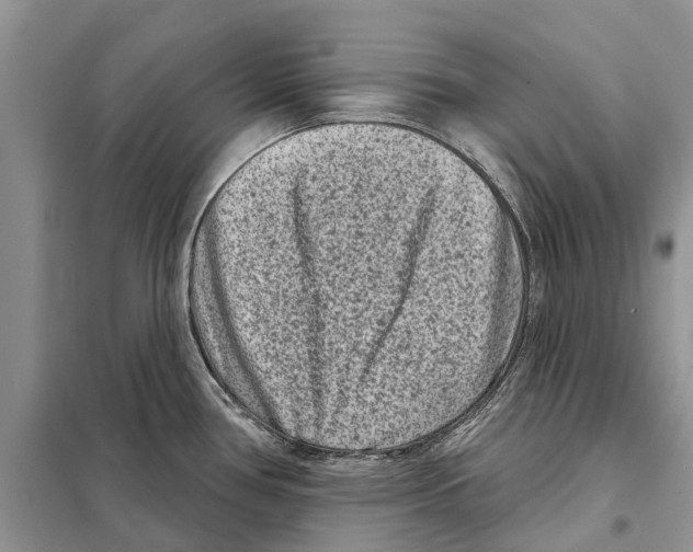 X0000097891386200804111006