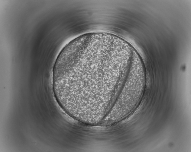 X0000097891388200804111006