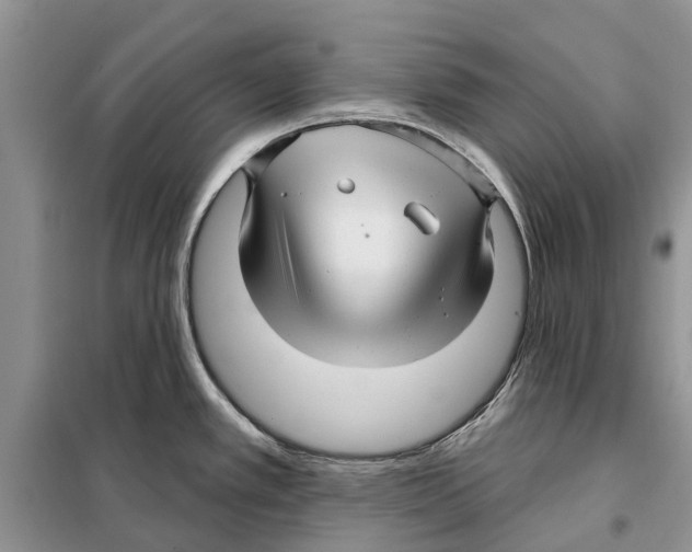 X0000097891389200804111006