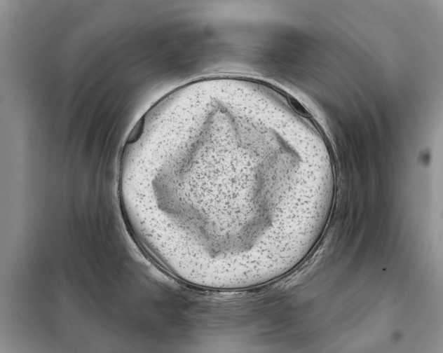 X0000097891390200804111006