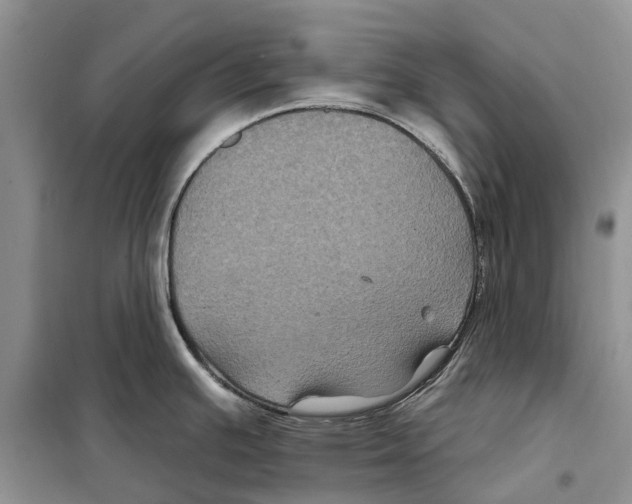 X0000097891391200804111006