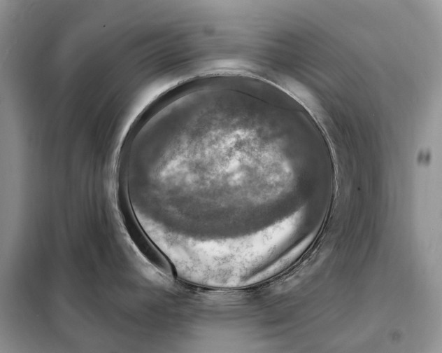 X0000097891392200804111006