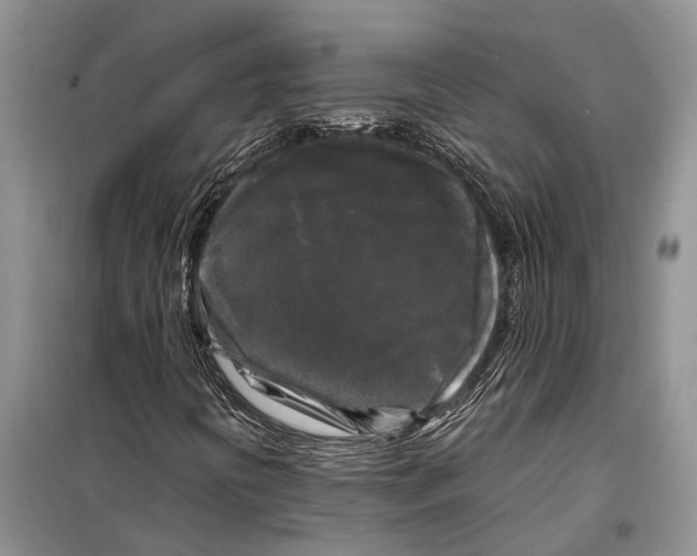 X0000097891394200804111005