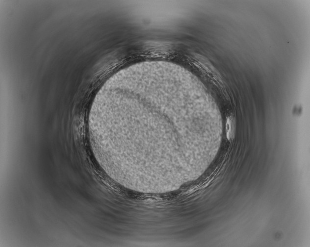 X0000097891395200804111005