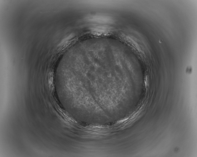 X0000097891396200804111005