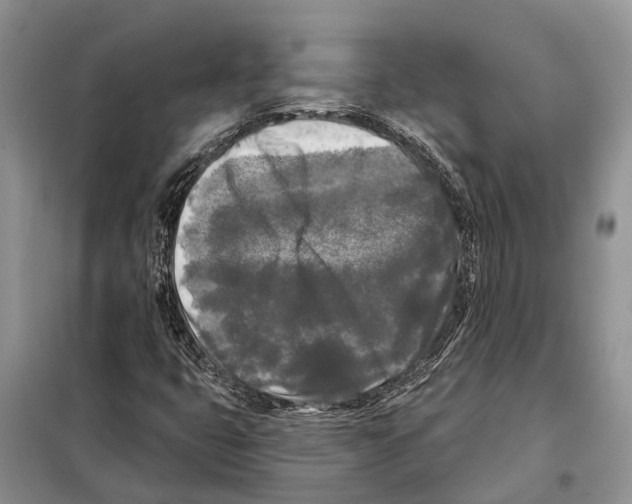 X0000097891399200804111005