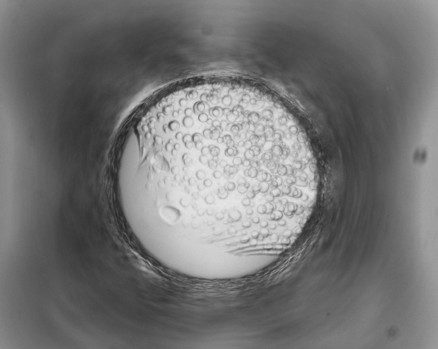 X0000097891400200804111005