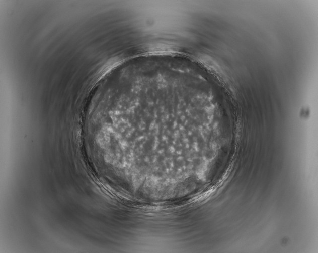 X0000097891401200804111005