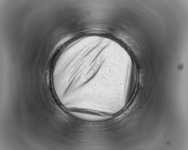 X0000097891402200804111005