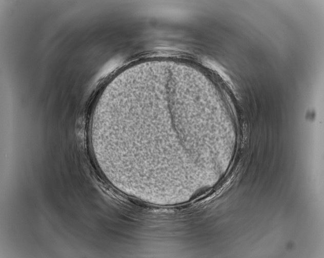 X0000097891403200804111005