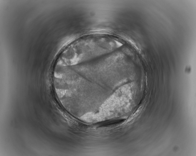 X0000097891405200804111005