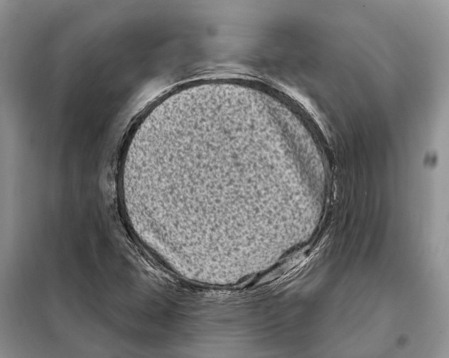 X0000097891407200804111005