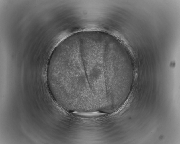 X0000097891409200804111005