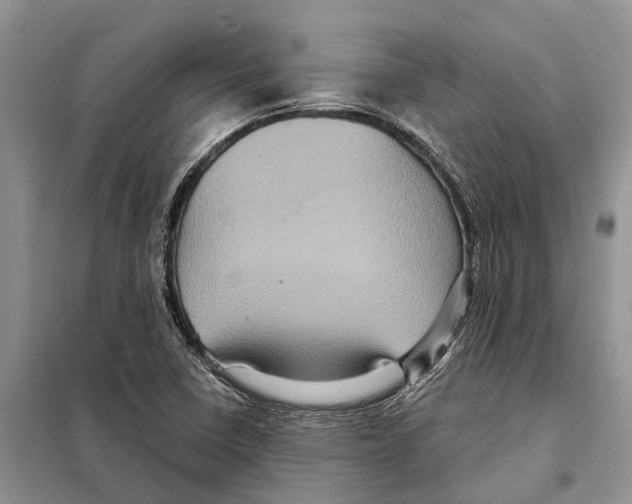 X0000097891410200804111005