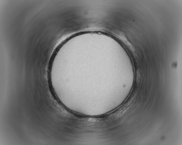 X0000097891412200804111005