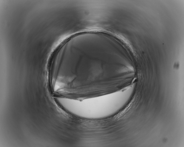 X0000097891414200804111005