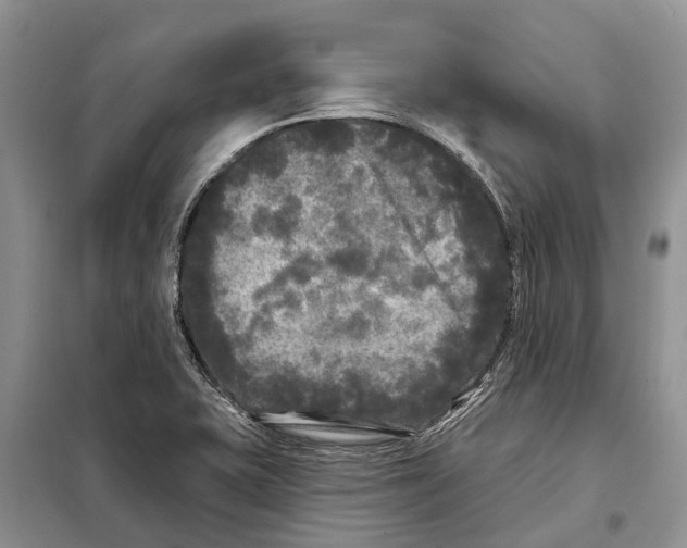 X0000097891415200804111005