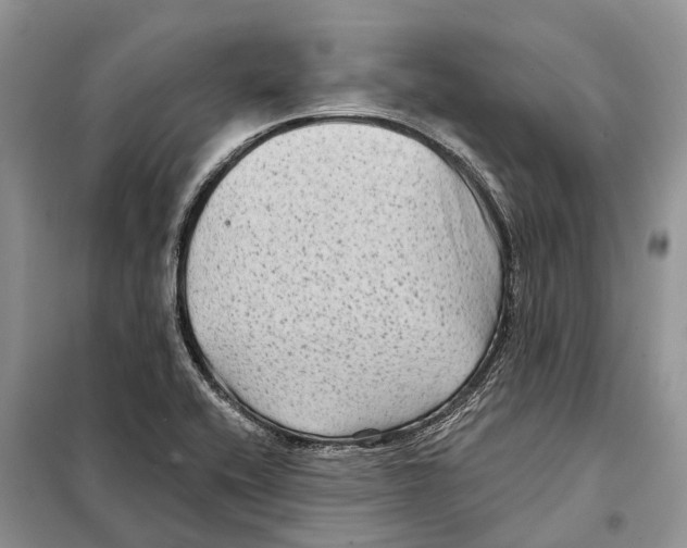 X0000097891416200804111006