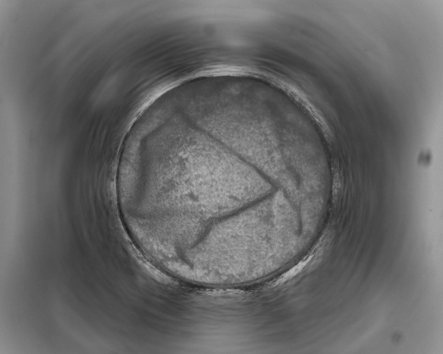 X0000097891417200804111006