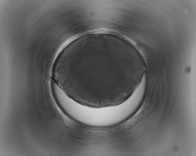 X0000097891418200804111006