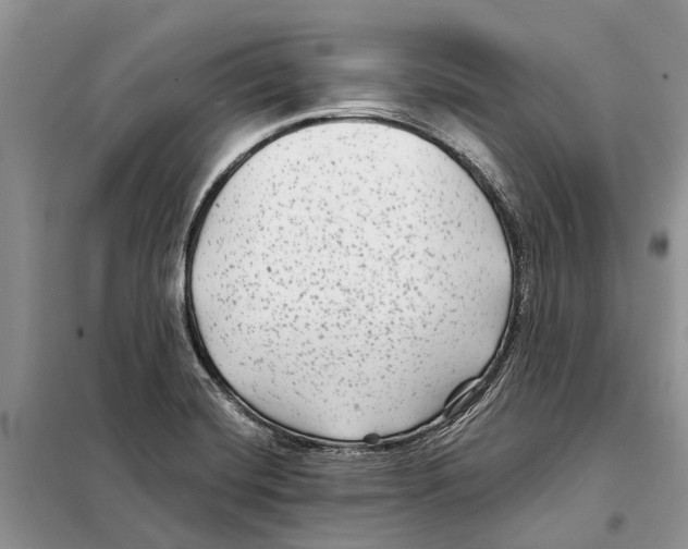 X0000097891420200804111006