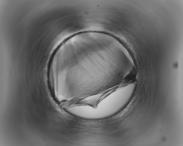 X0000097891422200804111006