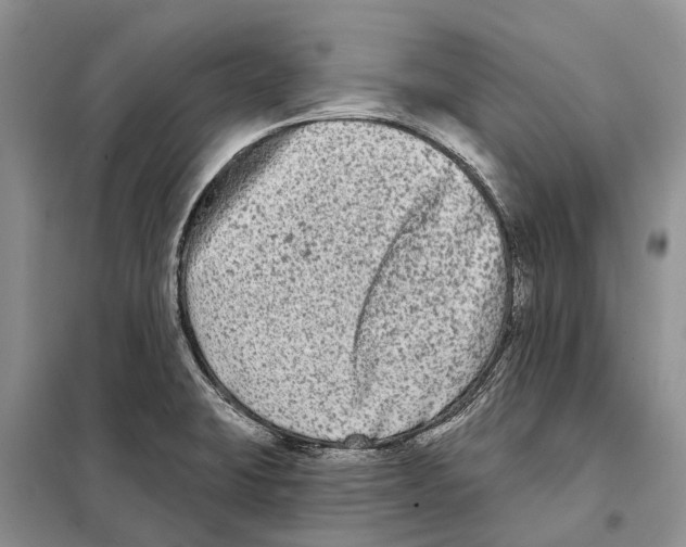 X0000097891423200804111006