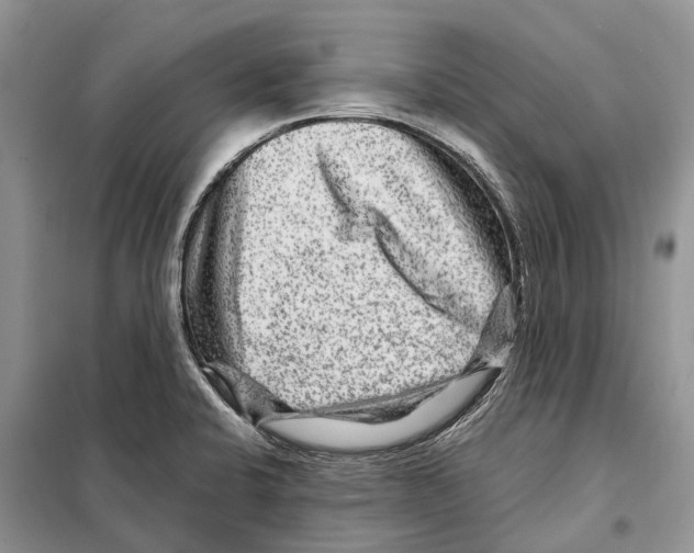 X0000097891424200804111006