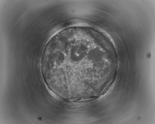 X0000097891425200804111006