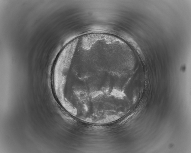 X0000097891427200804111006