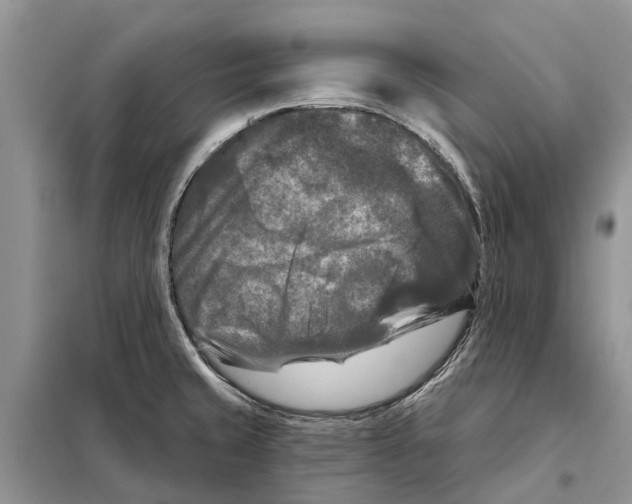 X0000097891429200804111006