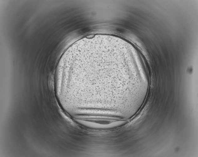 X0000097891433200804111006