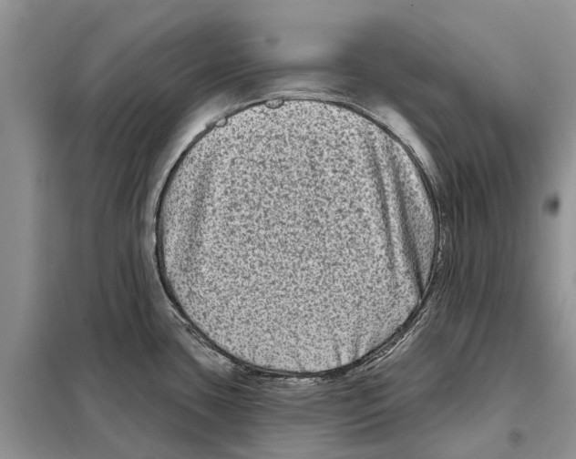 X0000097891435200804111006