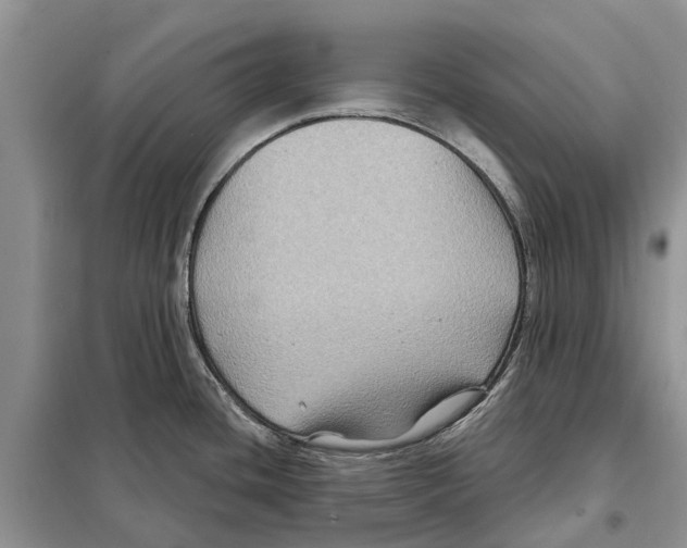 X0000097891436200804111006