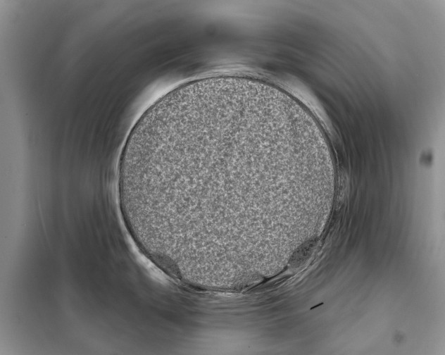 X0000097891439200804111006